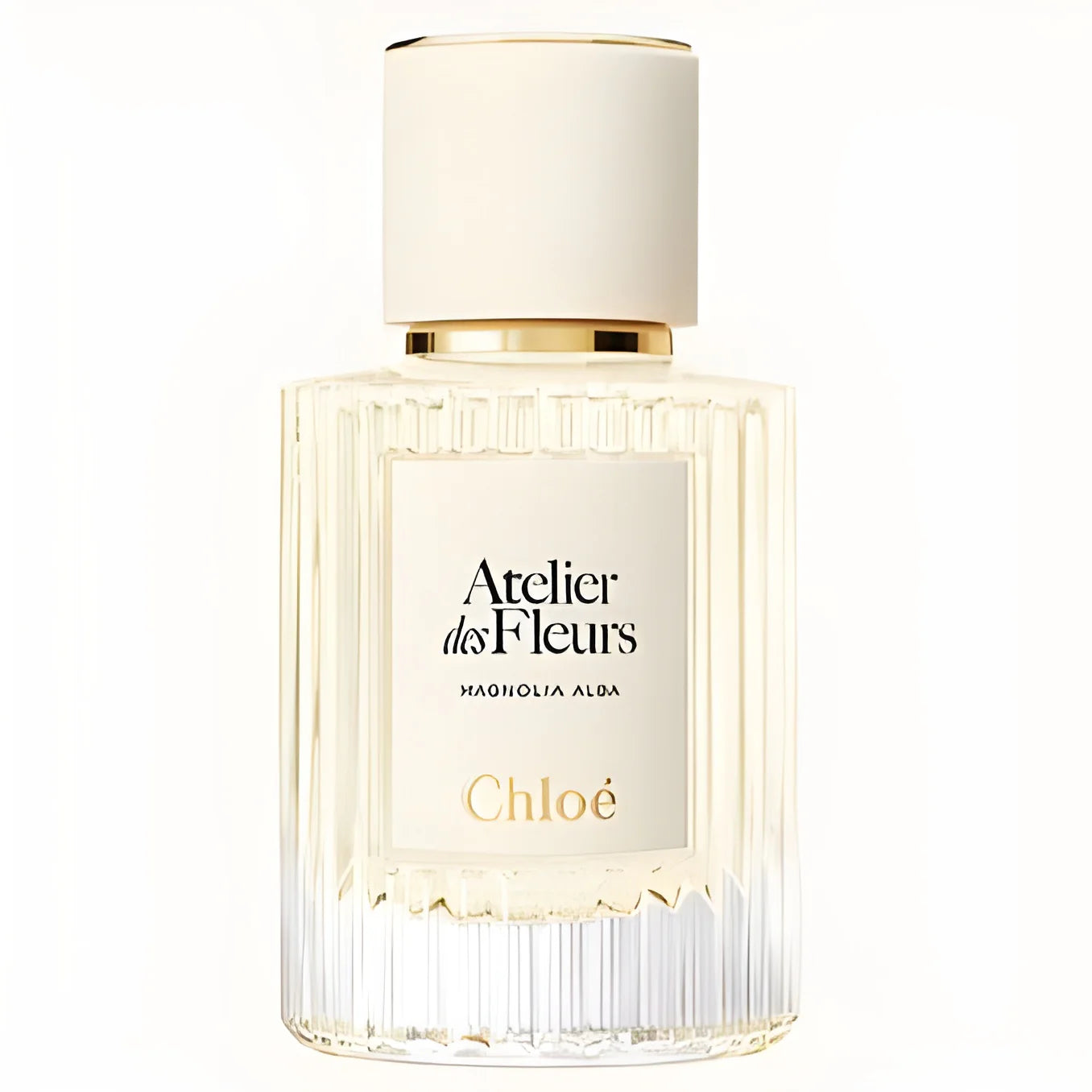 Chloé クロエ Magnolia Alba マグノリア アルバ 150 ml Chloé Magnolia Alba EDP 150ml | White Magnolia Perfume – Bloom In Luxe