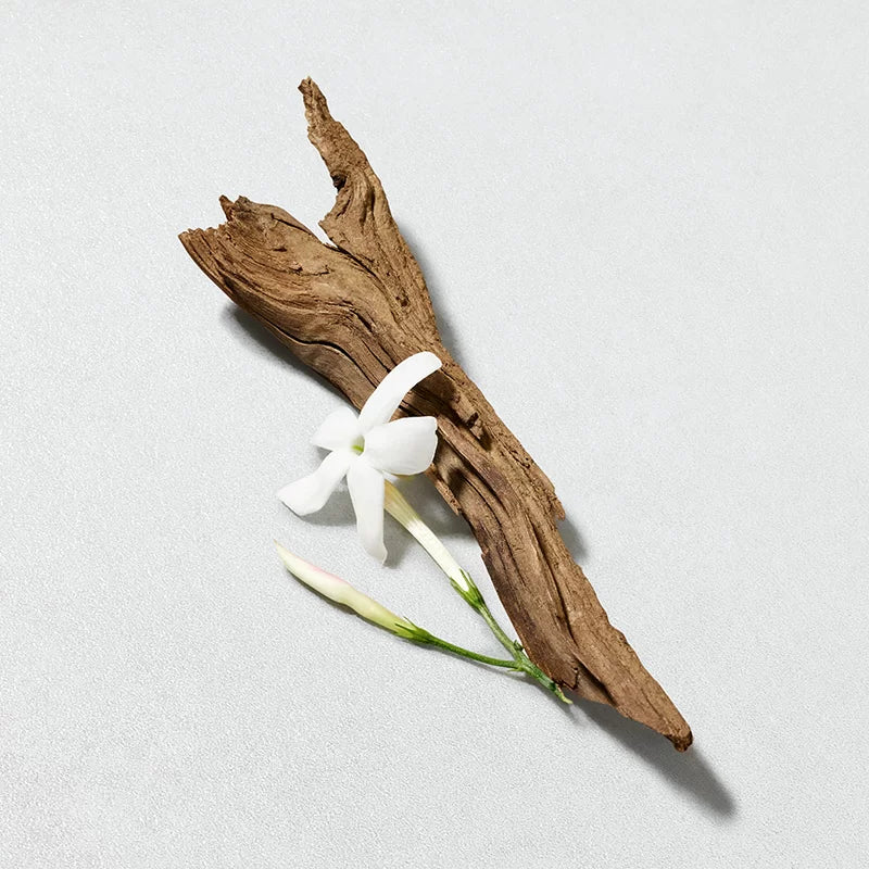 Giorgio Armani Acqua Di Gio Pour Homme Eau De Toilette 100ml | Fresh Aquatic Scent