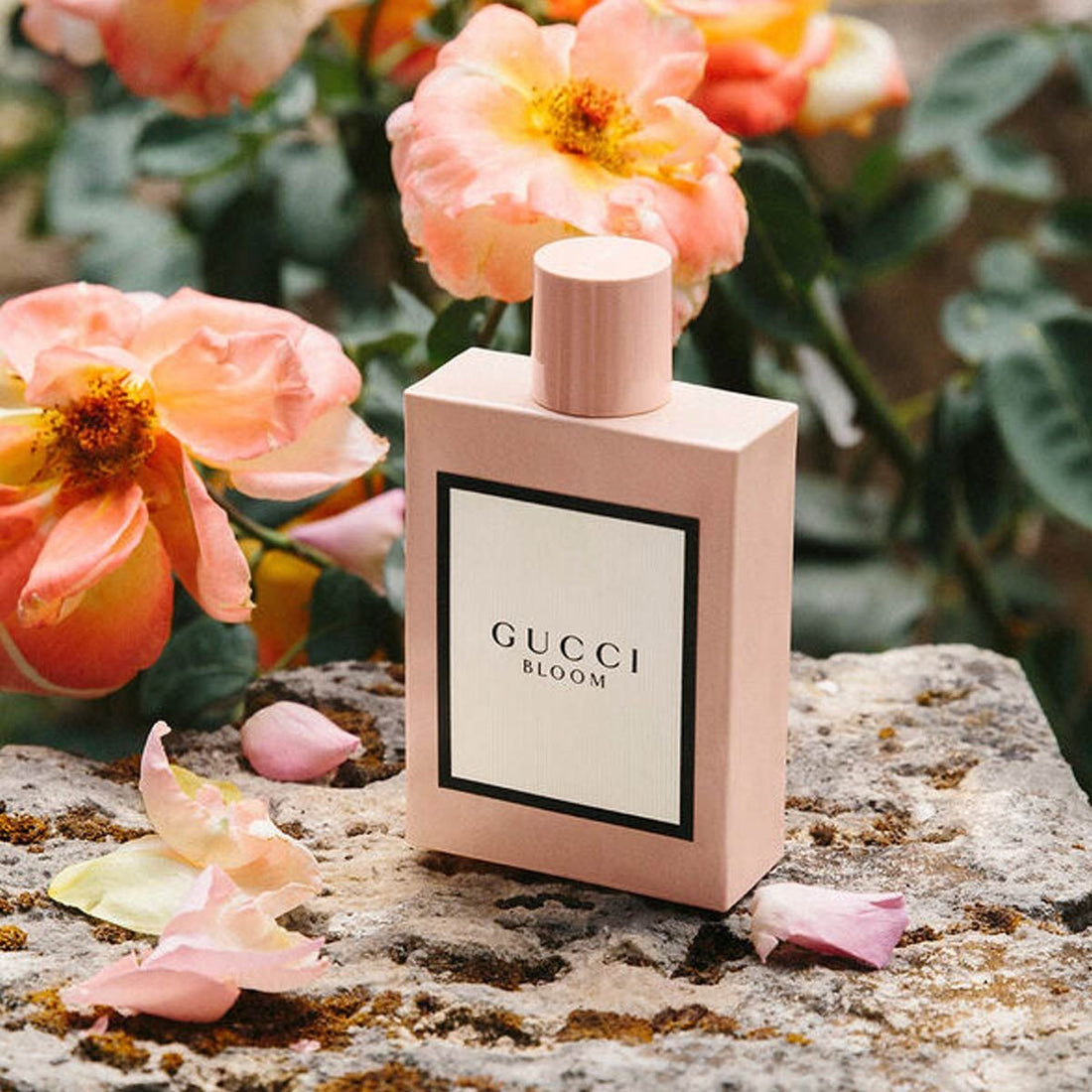 Gucci Bloom perfume bottle close-up showing tuberose jasmine fragrance details